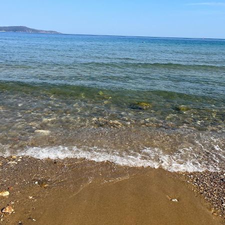 T2- 2Adultes/2Enfants Centre-Ville, Proche Plages Cavalaire-sur-Mer Exterior foto